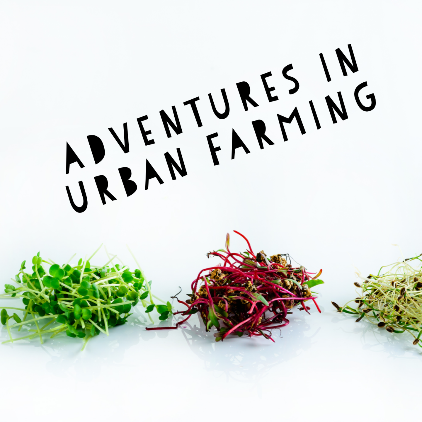 Urban Farming