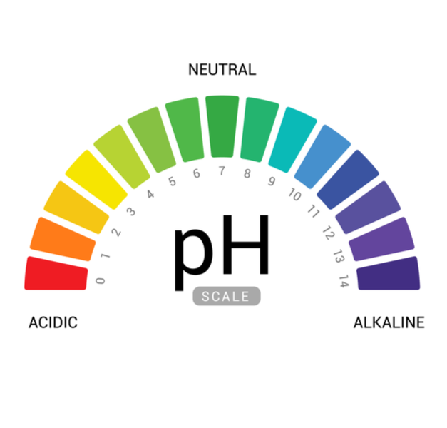 Back to Basics – Acids and Alkalis – Never Idle Life