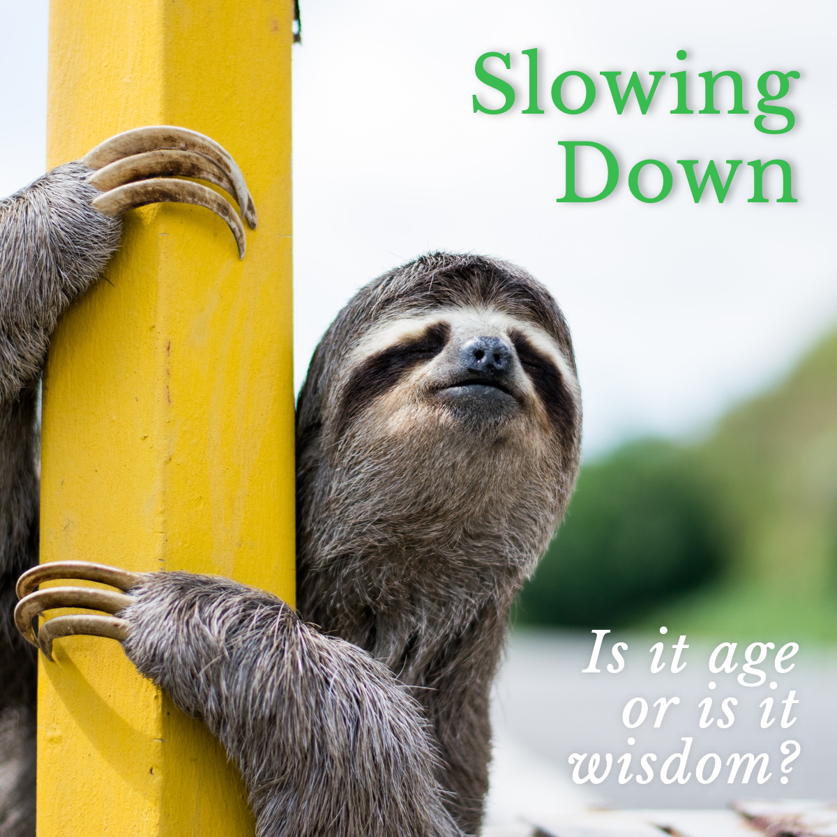 Slowing Down